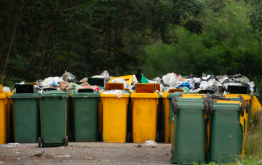 Как жители Усть-Каменогорска могут следить за порядком на мусорных площадках